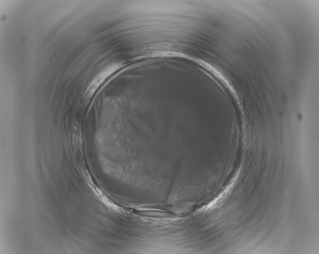 X0000060221289200511181203
