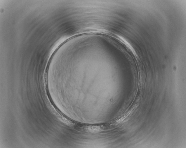 X0000060221291200511181203