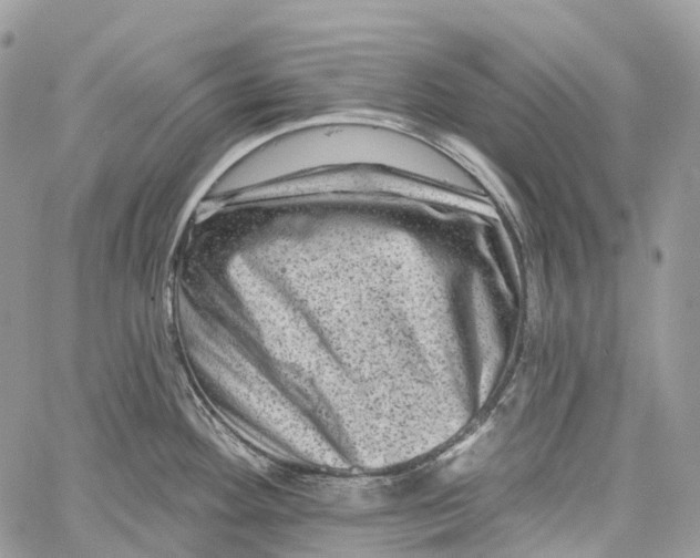 X0000060221292200511181203