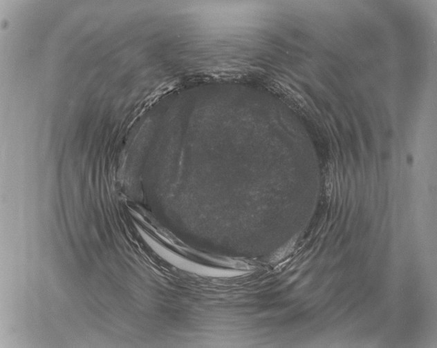 X0000060221298200511181202