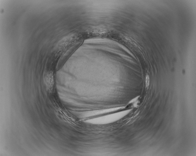 X0000060221299200511181202