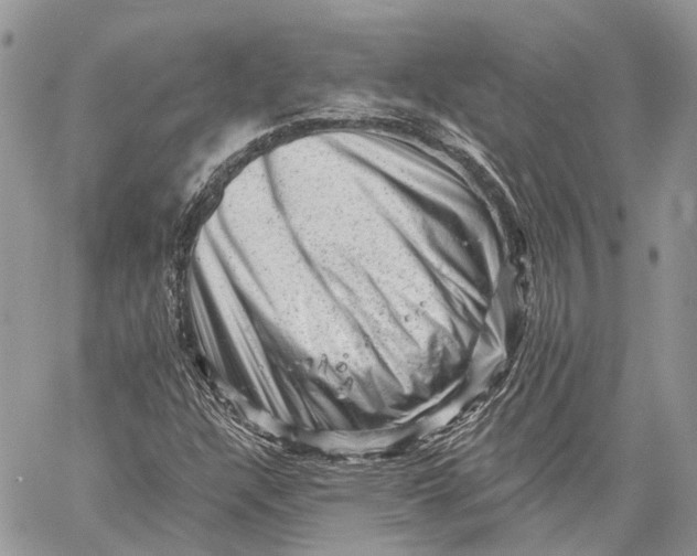 X0000060221304200511181202