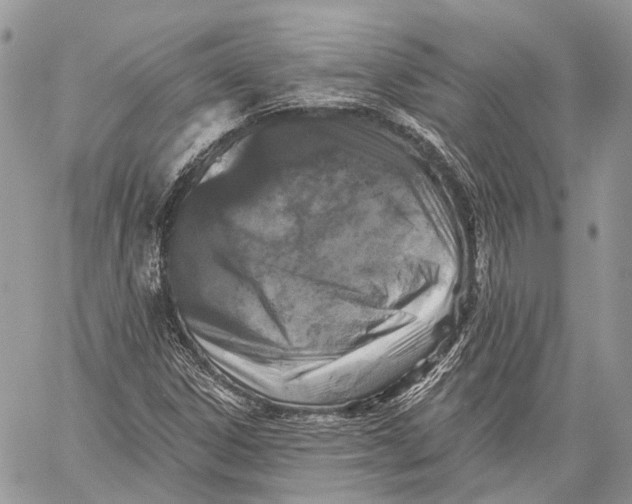 X0000060221306200511181202