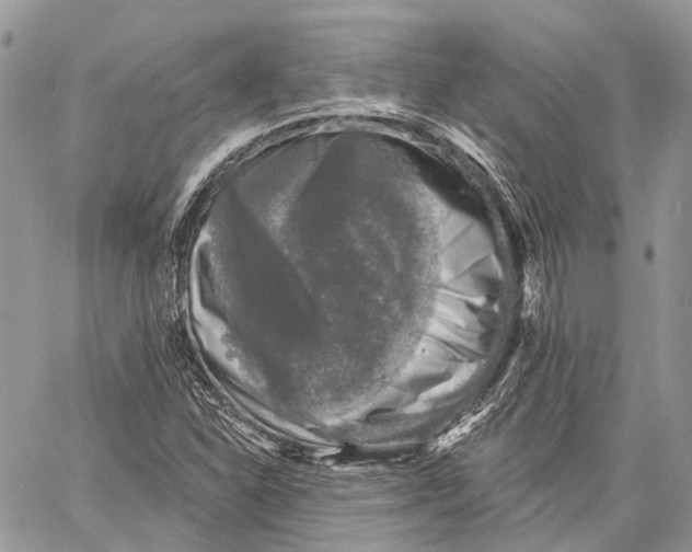 X0000060221310200511181202