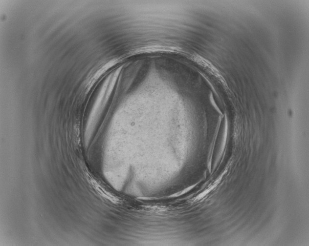 X0000060221321200511181202