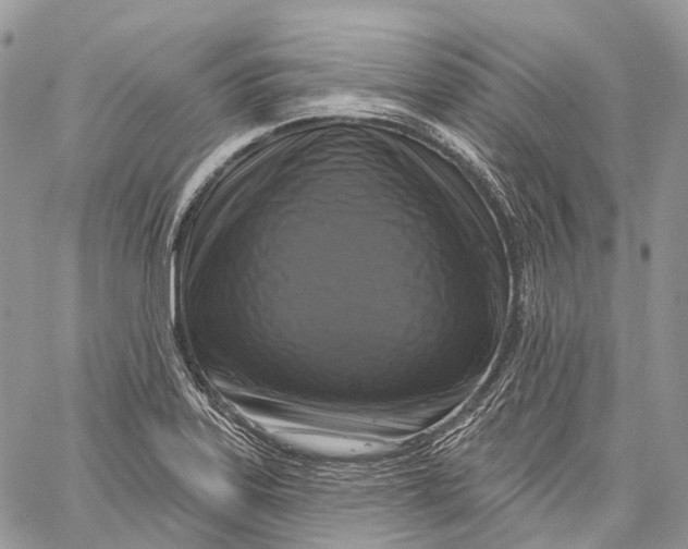 X0000060221323200511181202