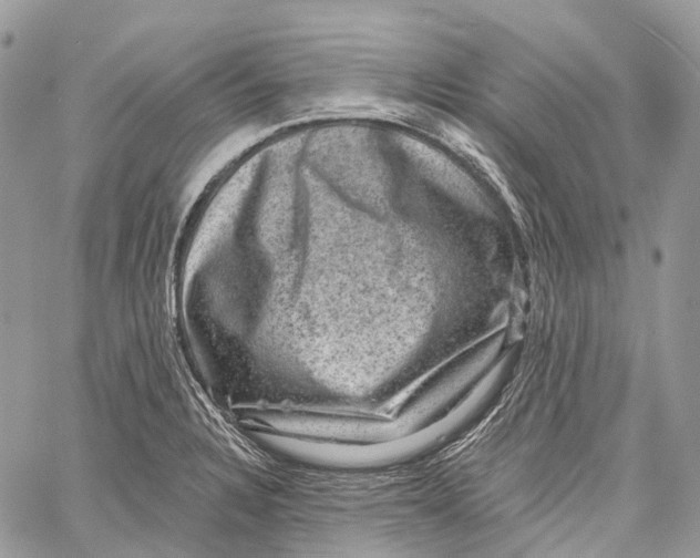 X0000060221328200511181202