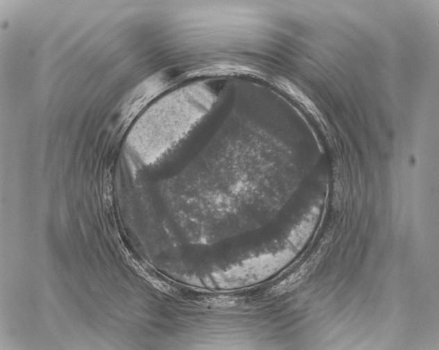 X0000060221329200511181203