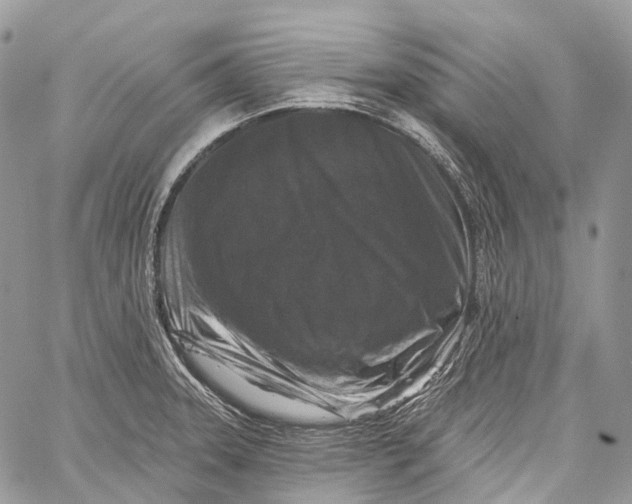 X0000060221331200511181203
