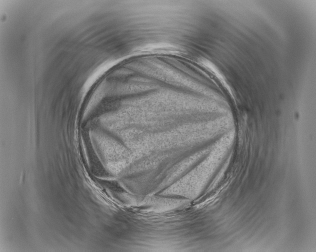 X0000060221336200511181203