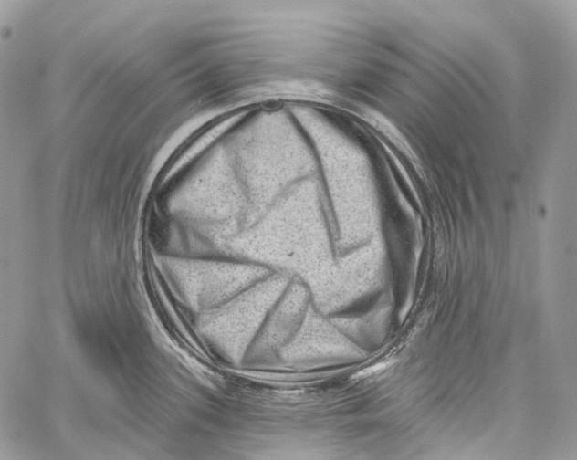 X0000060221339200511181203