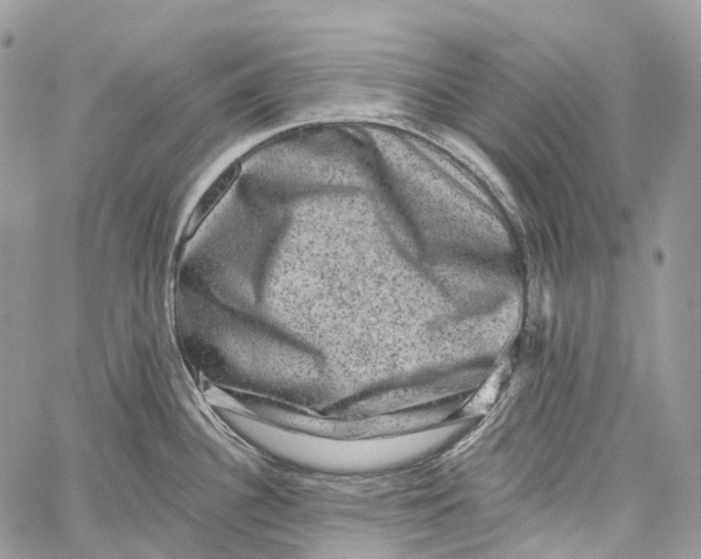 X0000060221340200511181203