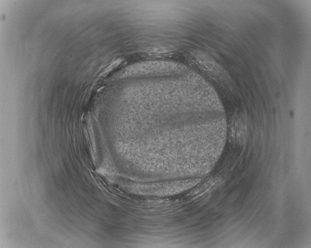 X0000060221346200511181202