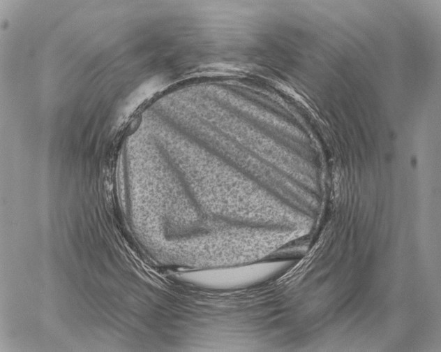 X0000060221355200511181202
