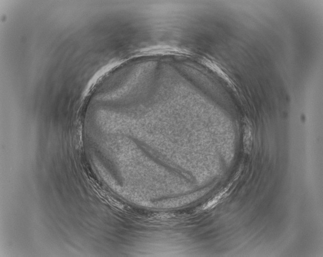 X0000060221358200511181202