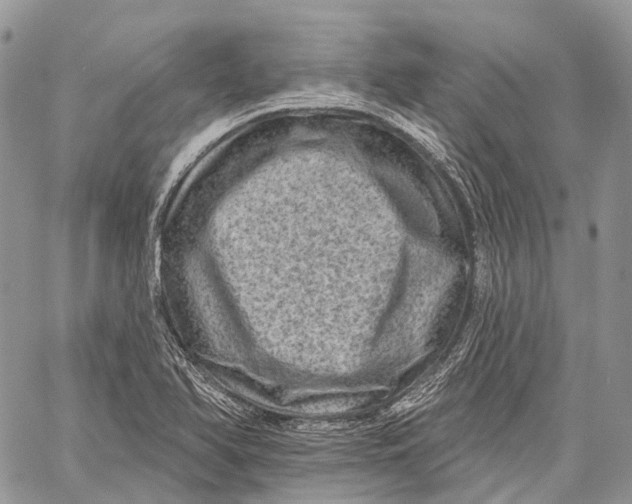 X0000060221366200511181202