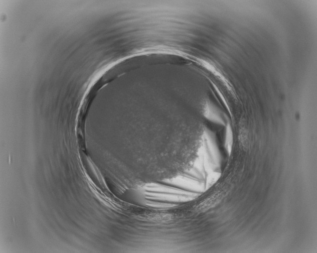 X0000060221372200511181202