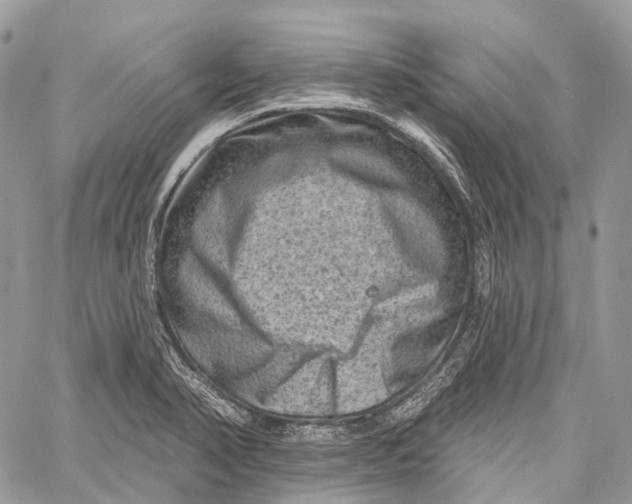 X0000060221374200511181201
