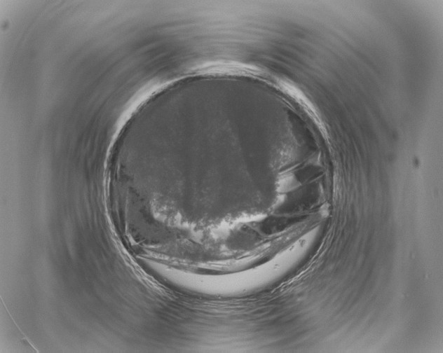 X0000060221376200511181201