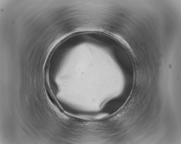 X0000060221380200511181201