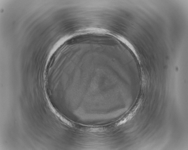 X0000060221381200511181201