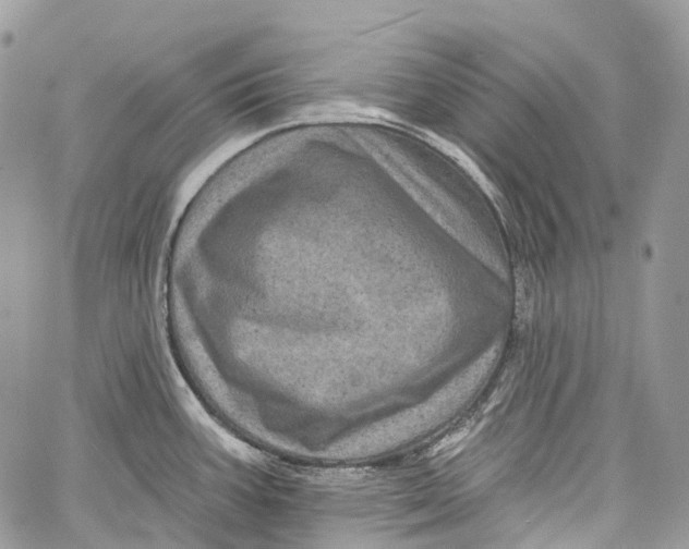 X0000060221387200511181201