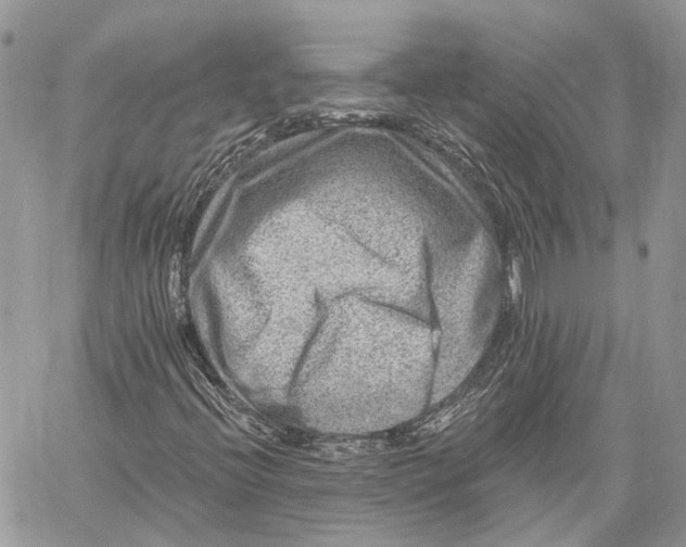 X0000060221396200511181200