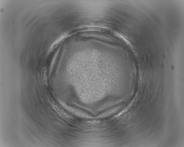 X0000060221403200511181201
