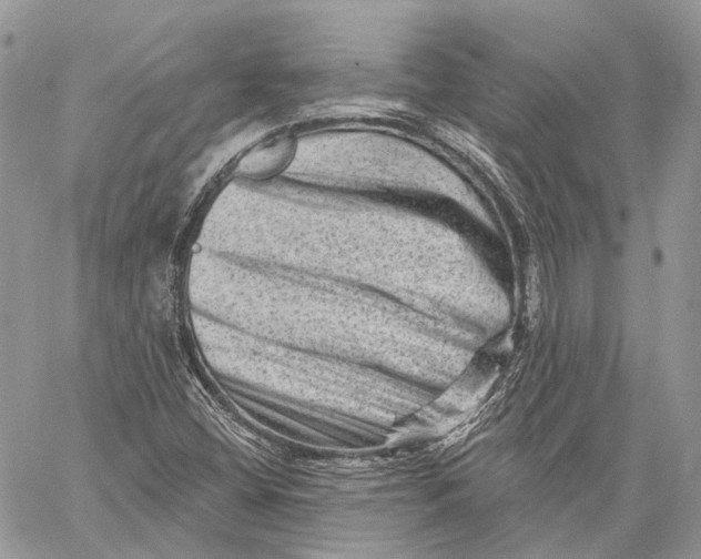 X0000060221404200511181201