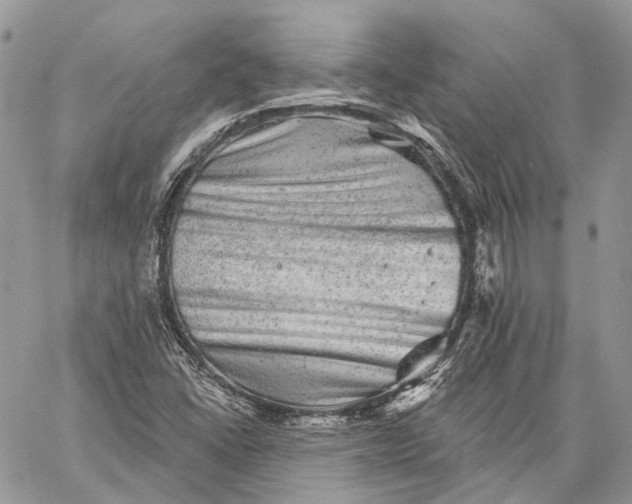 X0000060221406200511181201