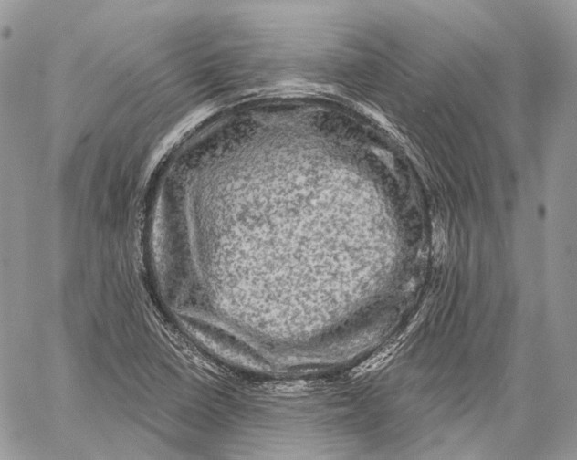 X0000060221410200511181201