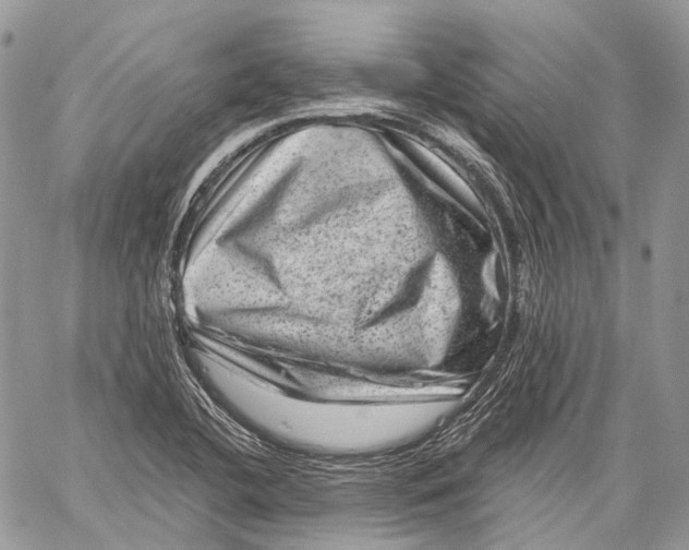 X0000060221412200511181201