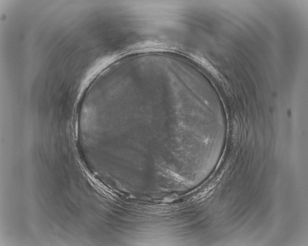 X0000060221413200511181201