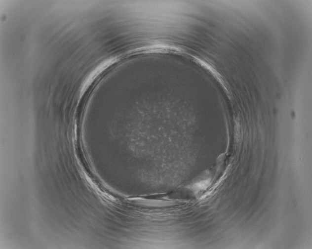 X0000060221418200511181201