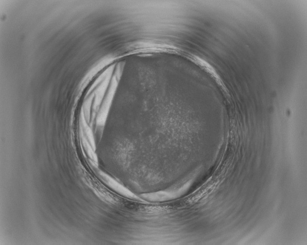 X0000060221427200511181201