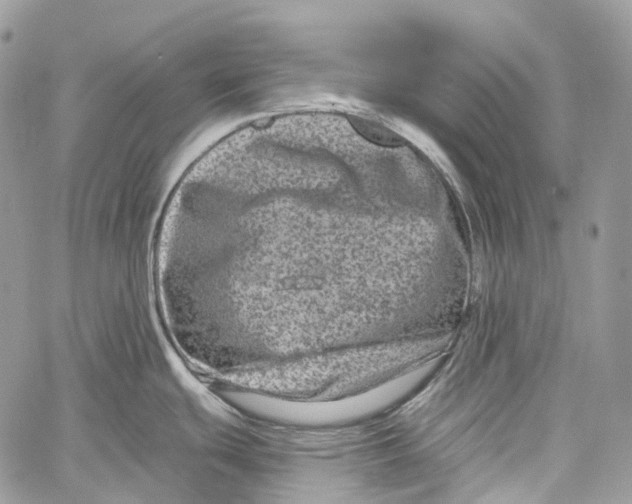 X0000060221439200511181201