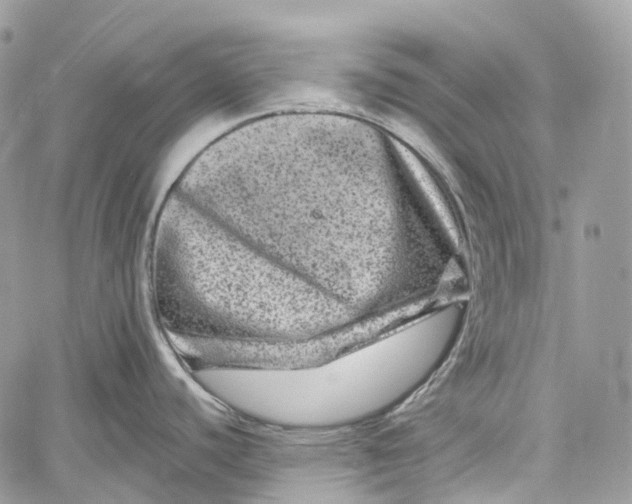 X0000060221440200511181201
