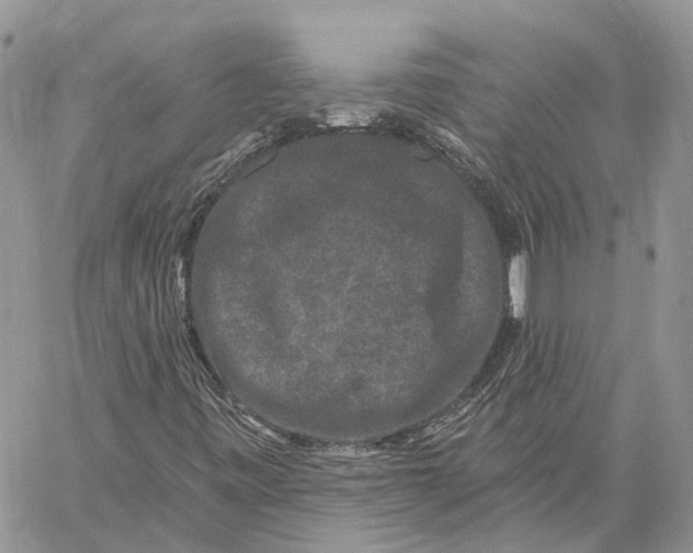 X0000060221443200511181200