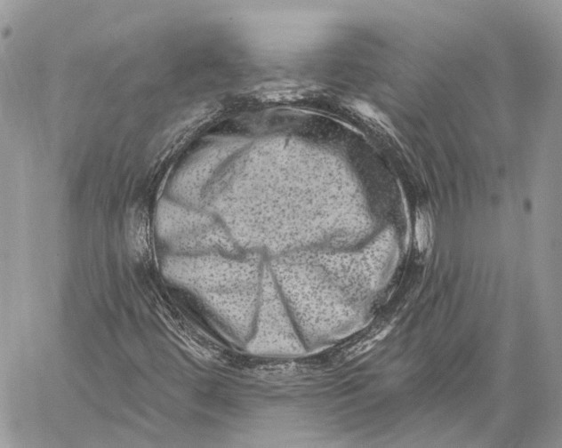 X0000060221444200511181200