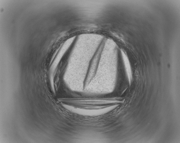 X0000060221447200511181200
