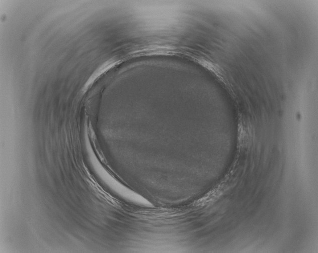 X0000060221450200511181200