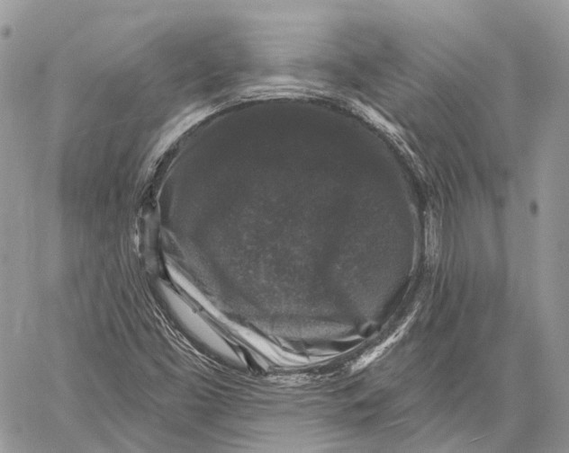 X0000060221453200511181200
