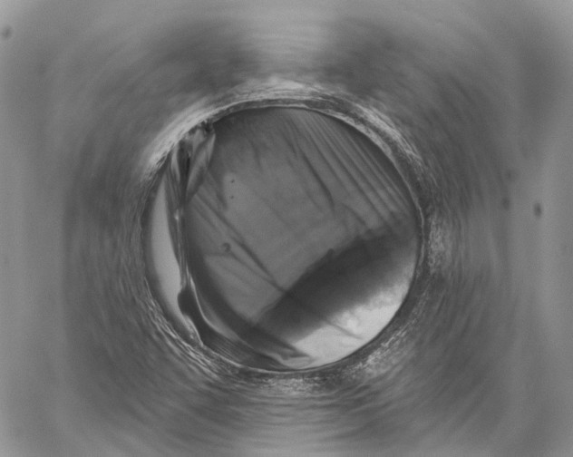 X0000060221455200511181200