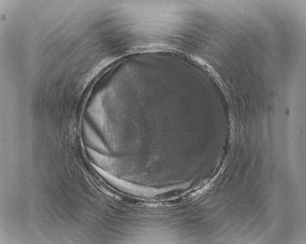 X0000060221457200511181200