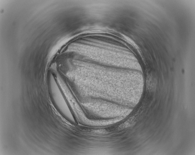 X0000060221464200511181200