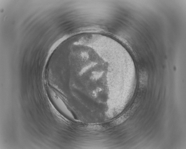 X0000060221466200511181200