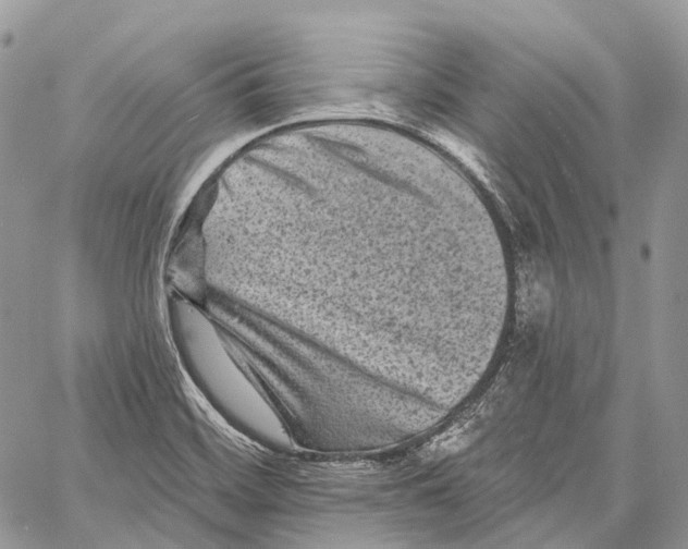 X0000060221468200511181200