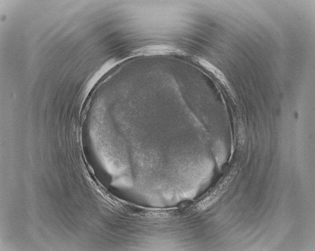 X0000060221473200511181200
