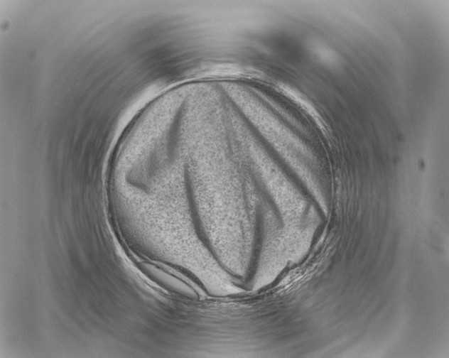 X0000060221475200511181200