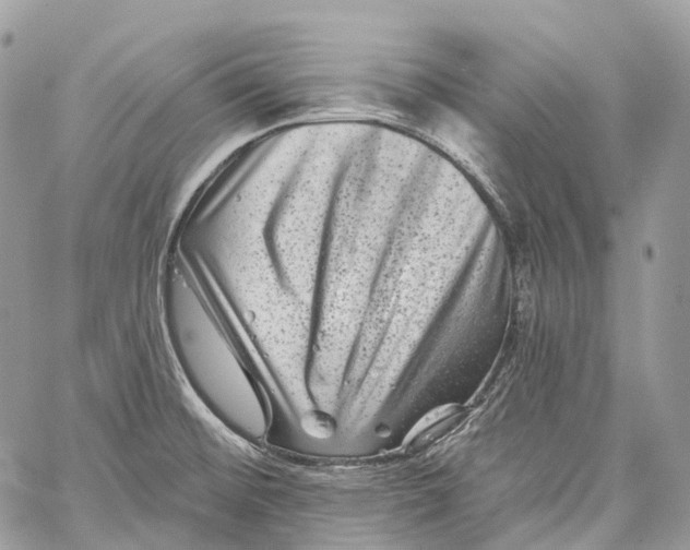 X0000060221476200511181200